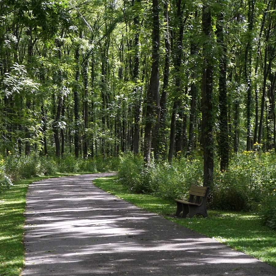 Fort Harrison State Park Trail